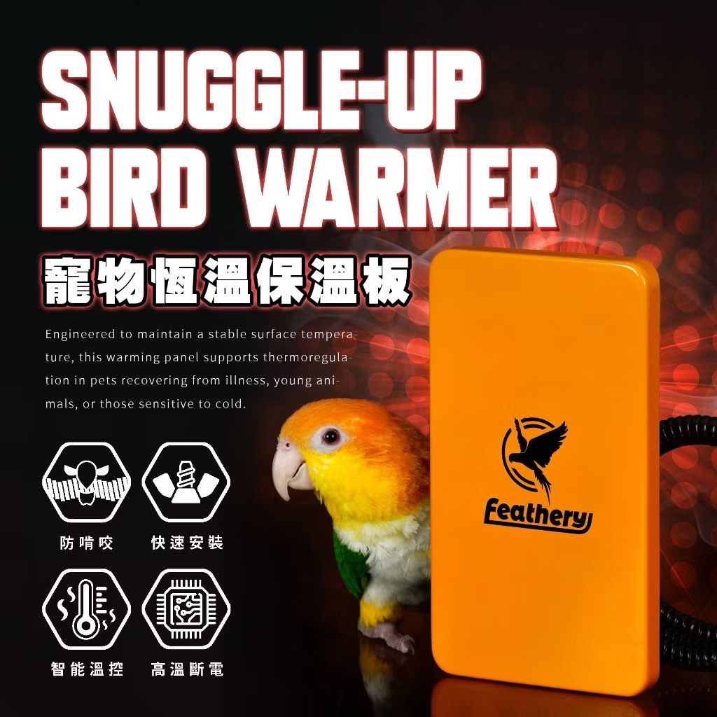 image_27509045-B35C-46F3-8E2E-0D7B15798DB5_1763619204