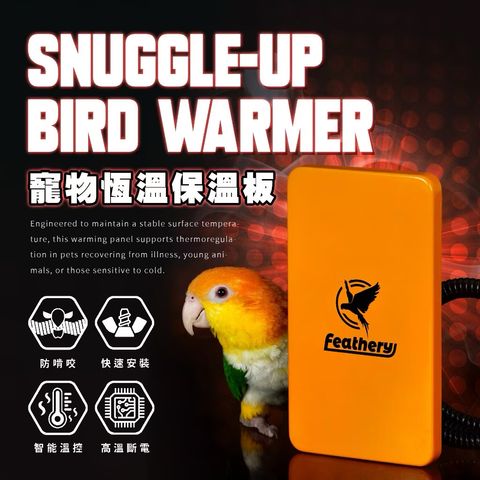 image_27509045-B35C-46F3-8E2E-0D7B15798DB5_1763619204