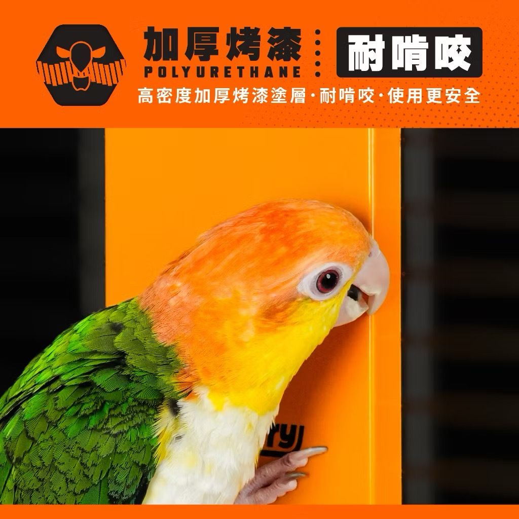 image_03BF9C1A-24A3-4979-BECB-042502C32C43_1763619204