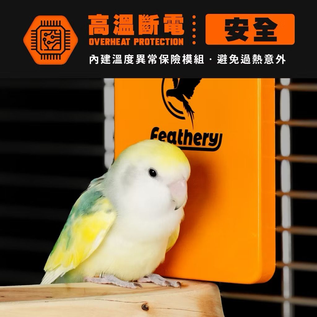 image_37AA95FB-425B-4989-B91C-8C5819160E8F_1763619204