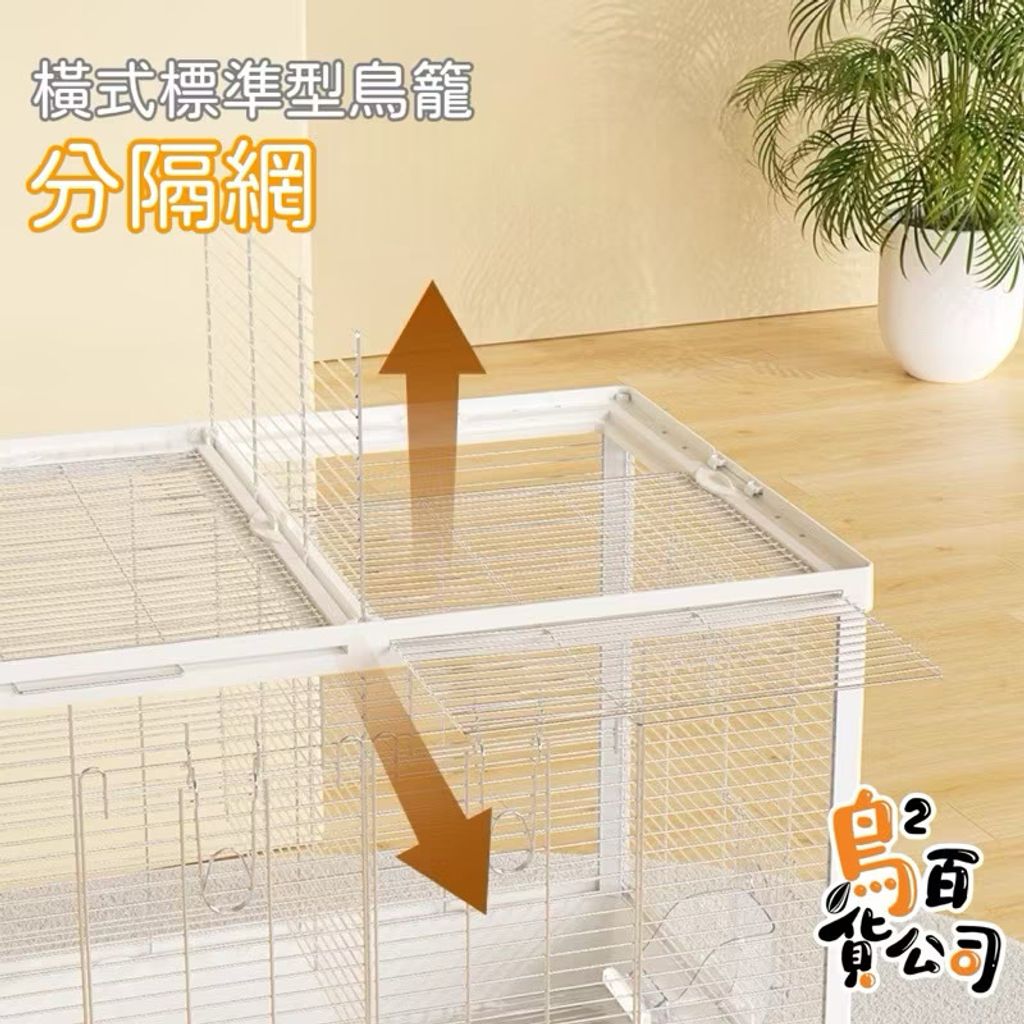 image_9A777501-A6B5-4C71-9CFB-50F7CD78DD36_1765887476