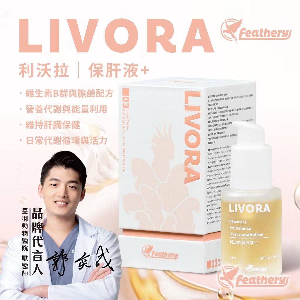 image_557B1F51-8C54-49E1-A3E3-274EE25876A3_1767285724