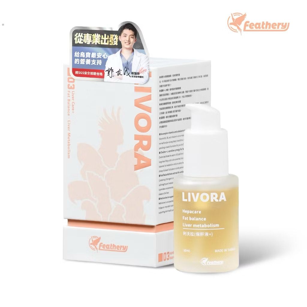 image_F354C048-8132-4E31-A936-51DD862A1E5F_1767285724