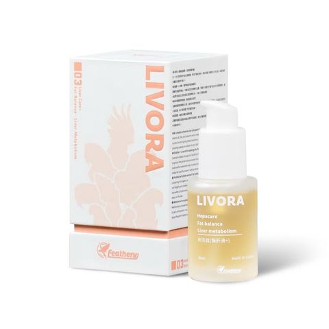 image_B7E965E9-CDEB-4B3B-B41C-A037260FF2D8_1767285724