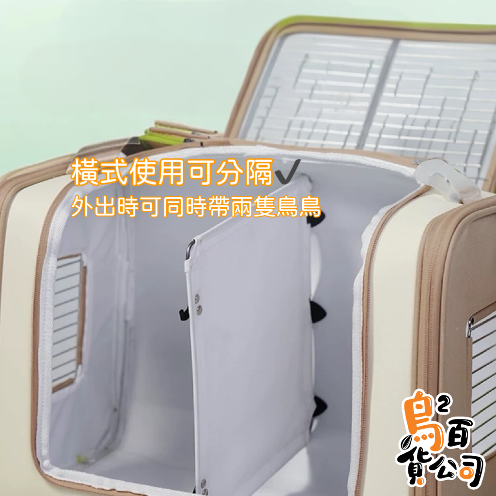 image_54454675-59D7-4AC4-84F2-C021FF5CB05F_1770038111