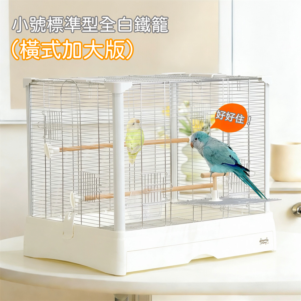 image_032B7F4E-3E92-4CAF-B95B-AEF7C2AE6910_1772373391