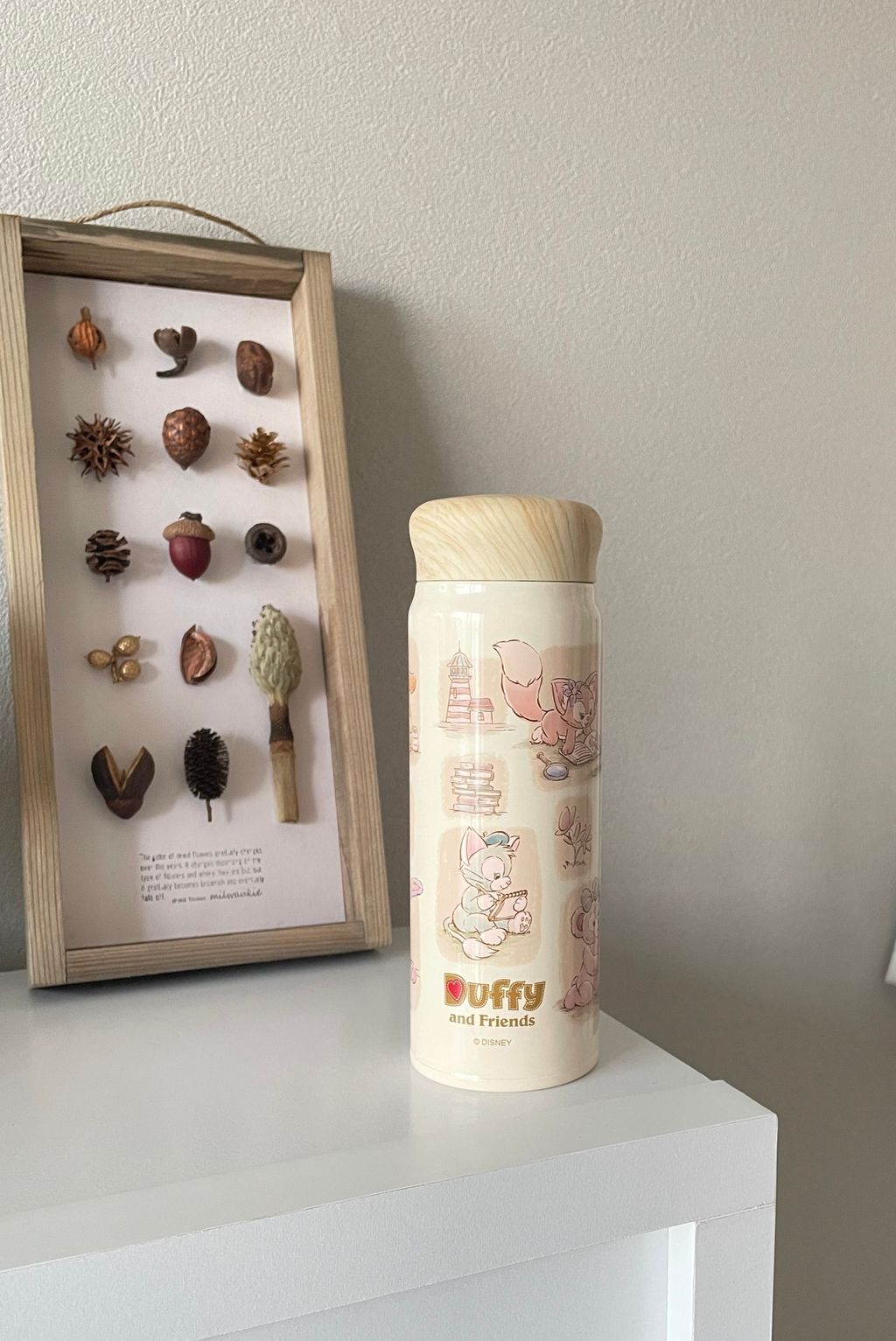 475063083_10086999144660401_9054765249103347006_n