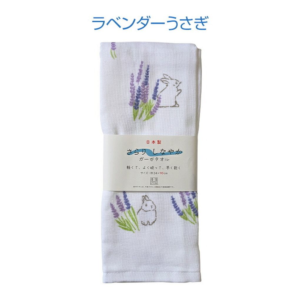 495244299_24524770197123389_1377131670240974014_n