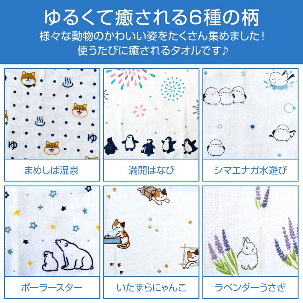 495541835_24524769517123457_2742529771772550903_n