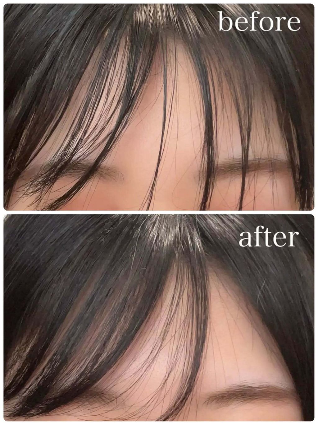 549548073_25657095200557544_7891977661329482596_n