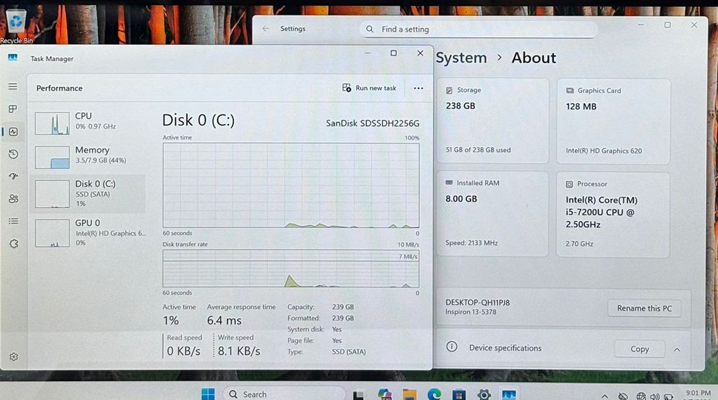 WhatsApp Image 2026-01-08 at 1.03.32 PM (3)