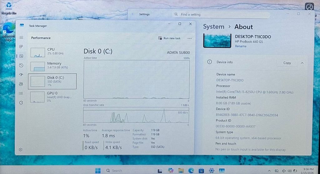 WhatsApp Image 2026-01-16 at 13.38.03