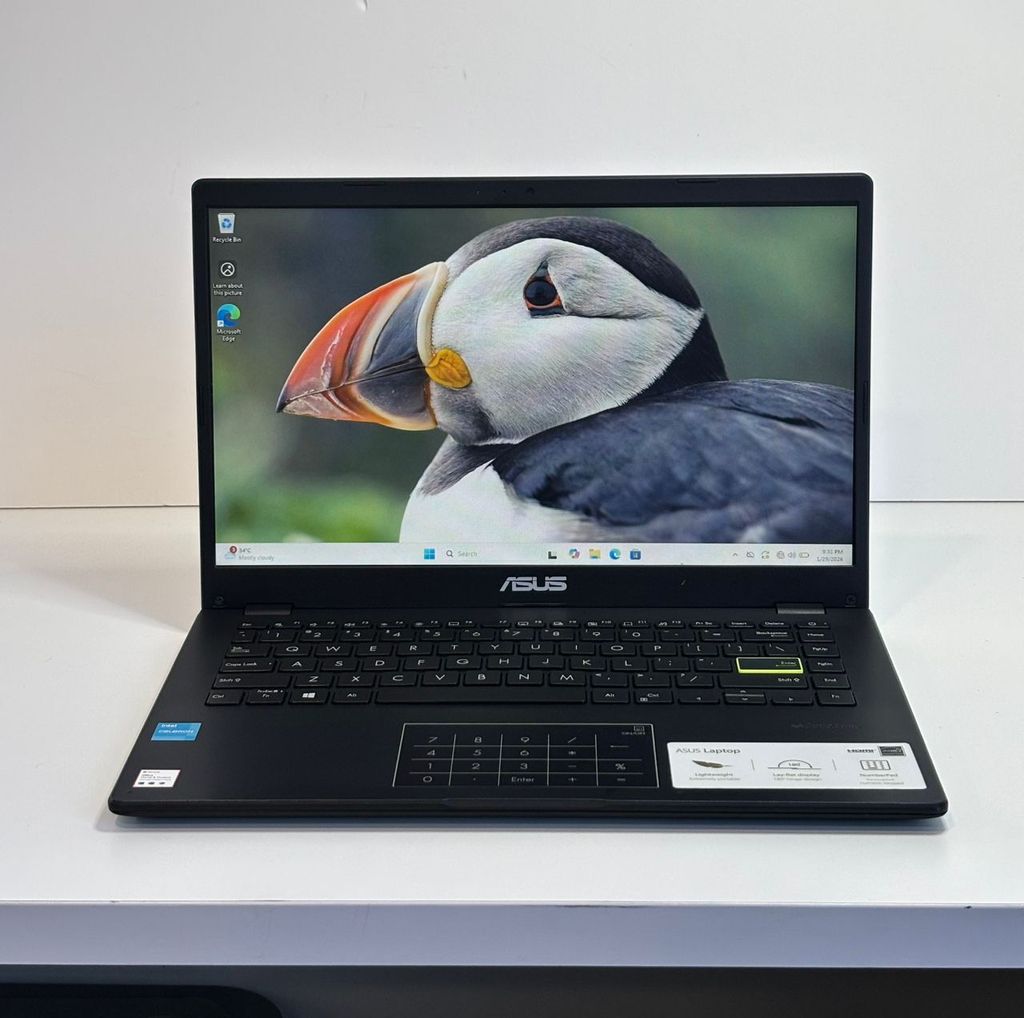 WhatsApp Image 2026-01-30 at 13.35.54