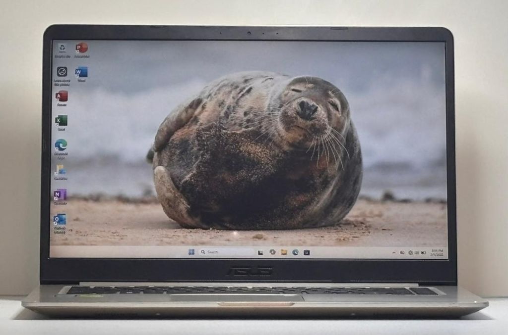 WhatsApp Image 2026-02-06 at 13.42.27