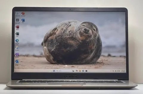 WhatsApp Image 2026-02-06 at 13.42.27