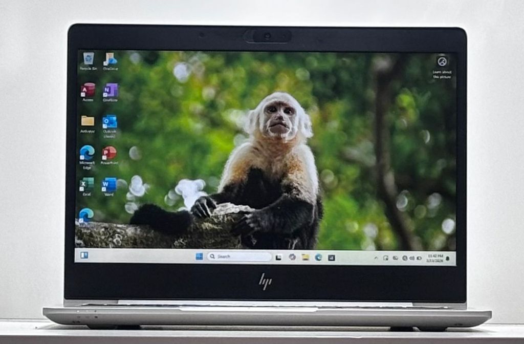 WhatsApp Image 2026-02-14 at 16.08.24 (2)