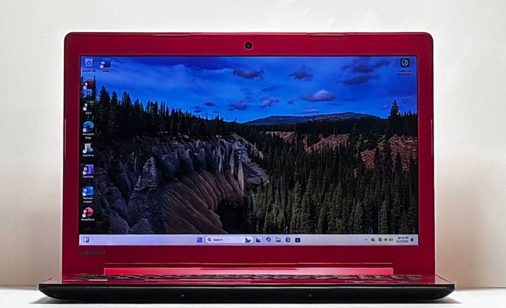 WhatsApp Image 2026-02-14 at 16.08.20 (1)