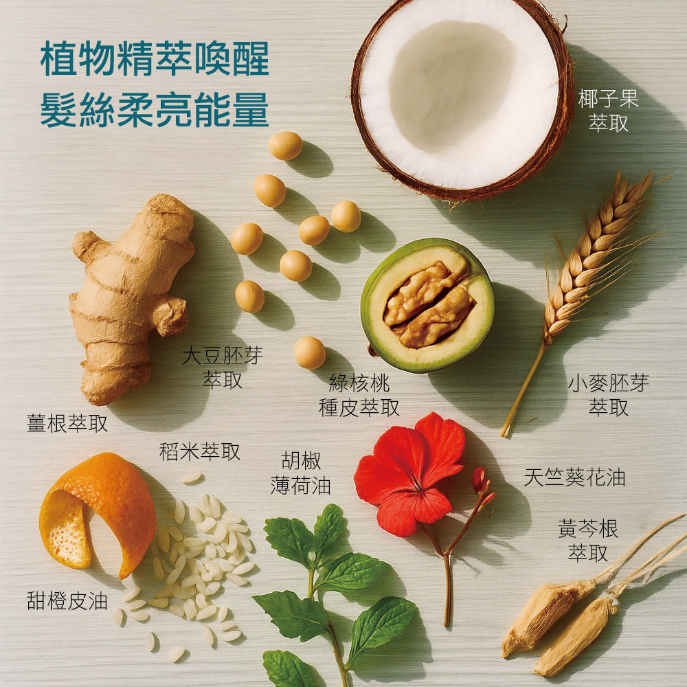 米萃蛋白養髮洗髮露10