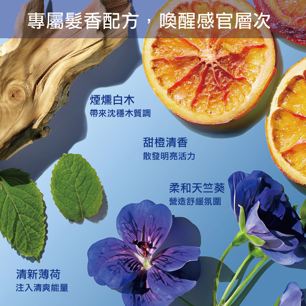 米萃蛋白養髮洗髮露14