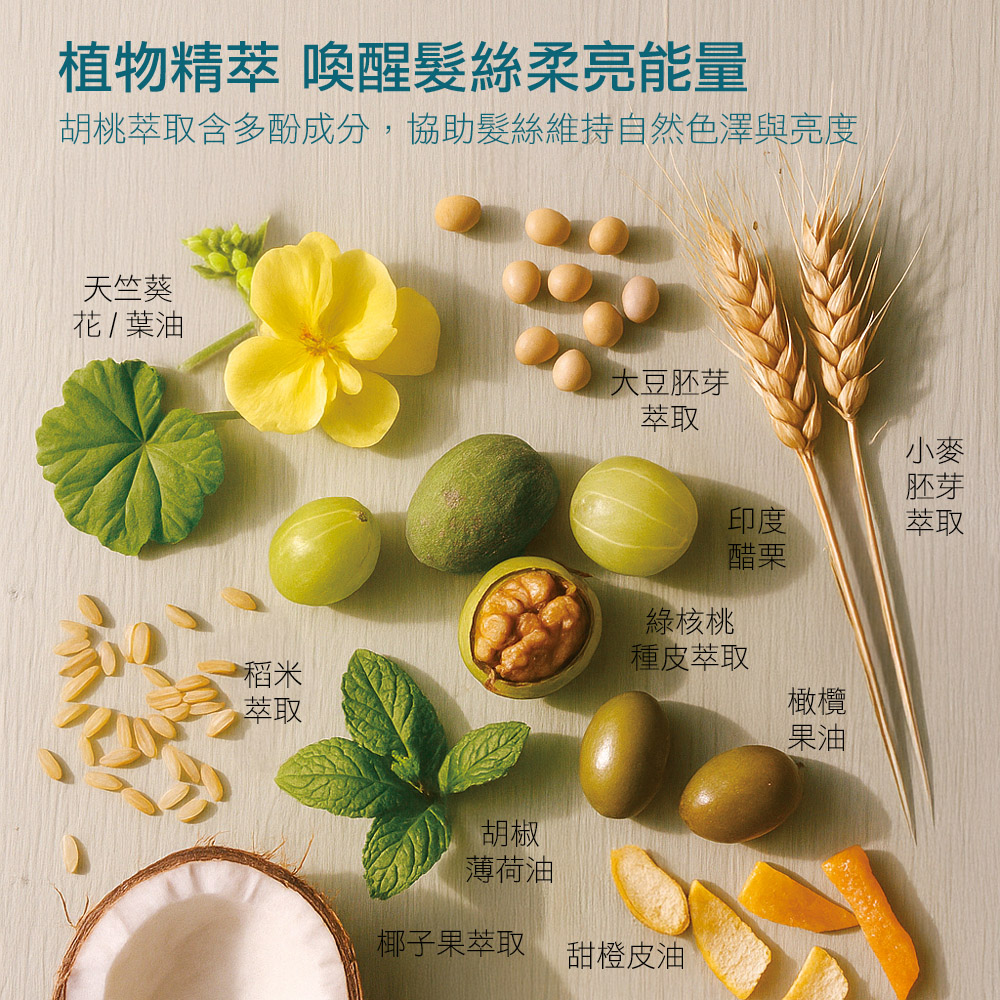 米萃蛋白養髮護髮素10