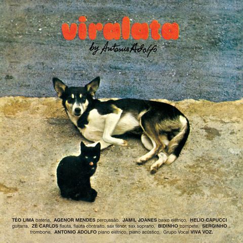Antonio Adolfo—Viralata 01