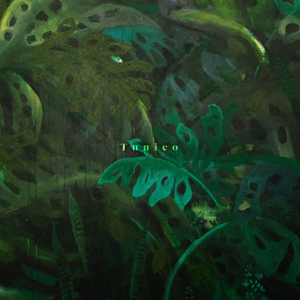 Tunico—Tunico 01