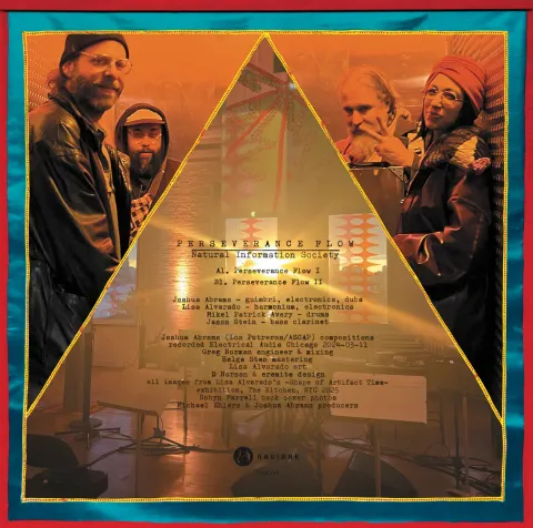 Natural Information Society—Perseverance Flow 02