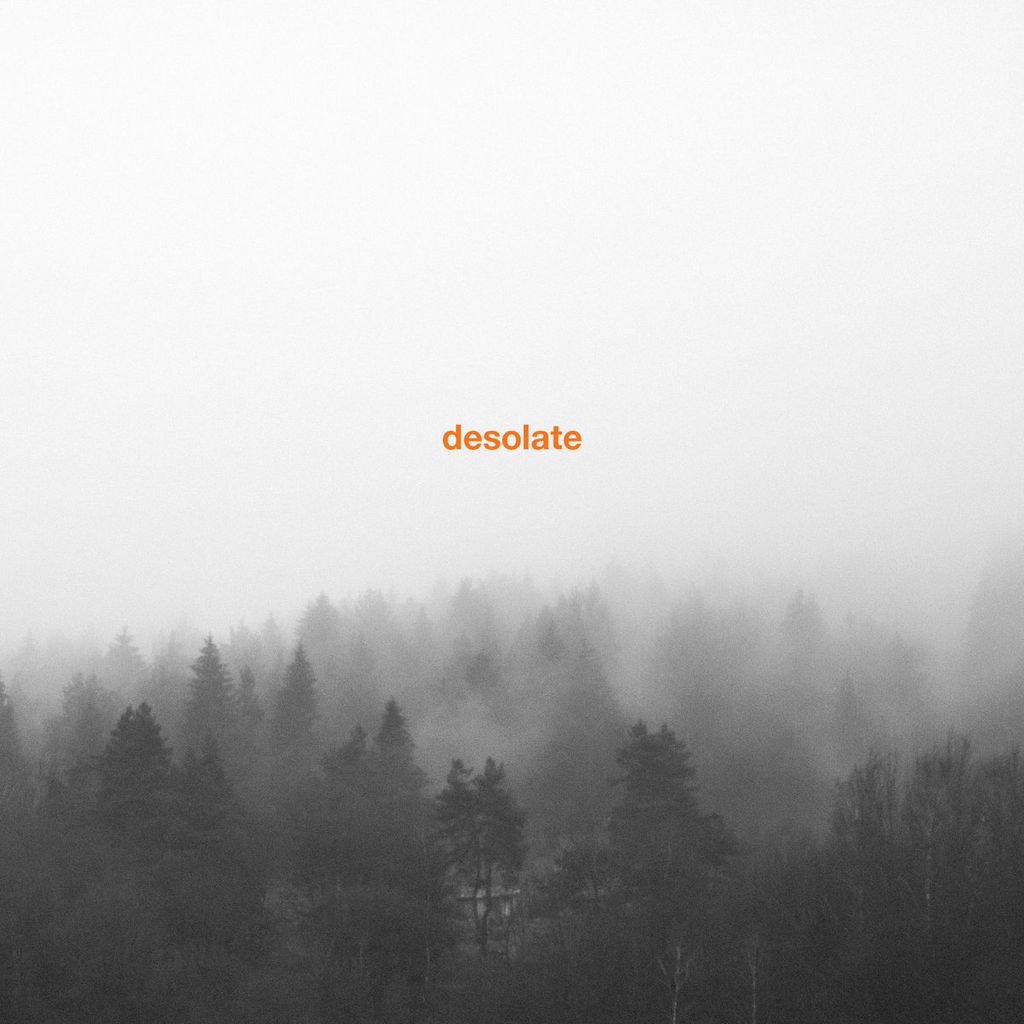 Desolate—Exceptionalism 01