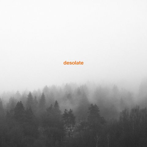 Desolate—Exceptionalism 01