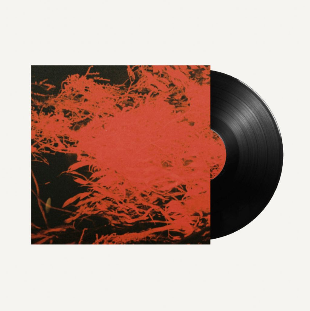 Anthony Naples—In Studio Magic 02