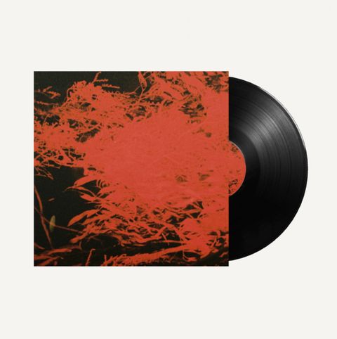 Anthony Naples—In Studio Magic 02