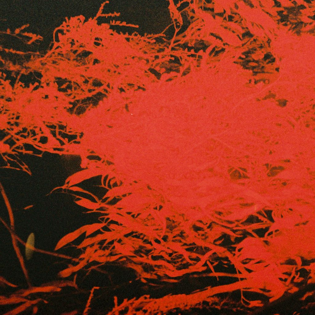 Anthony Naples—In Studio Magic 01