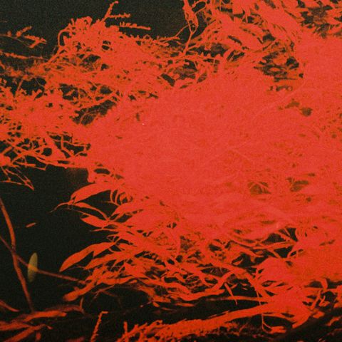 Anthony Naples—In Studio Magic 01