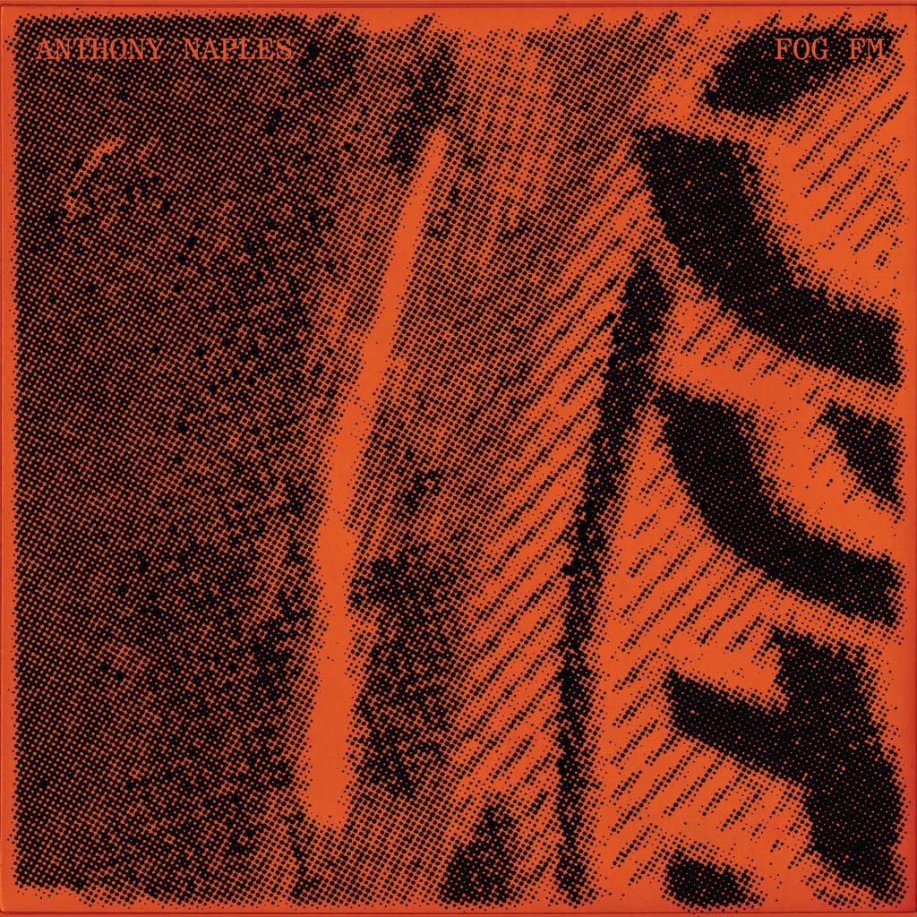 Anthony Naples—Fog FM 01