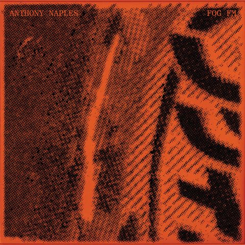 Anthony Naples—Fog FM 01
