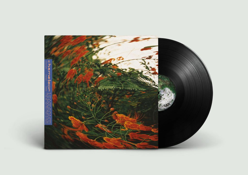 Anthony Naples—Chameleon 02