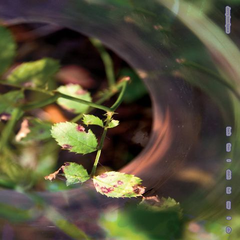 Jonny From Space—Back Then I Didn't But Now I Do 01