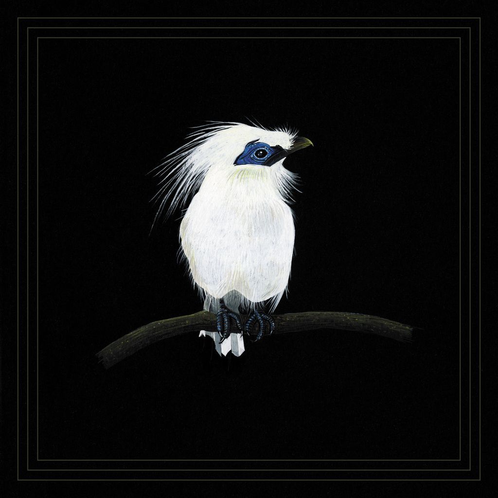Blundetto—Cousin Zaka Vol.3 01