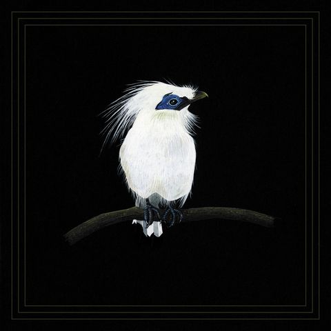 Blundetto—Cousin Zaka Vol.3 01