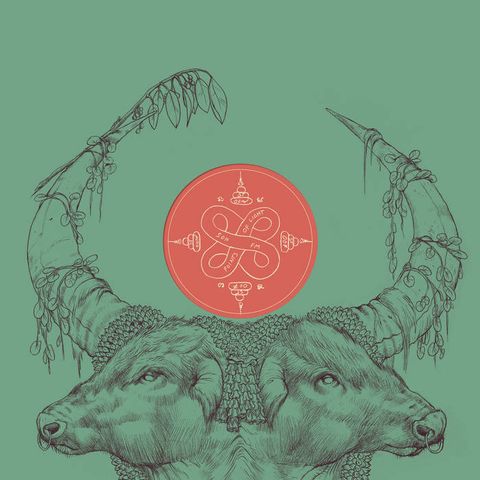 Sơn FM—Points of Light 01