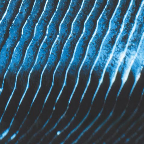 Monolake—Gravity 01