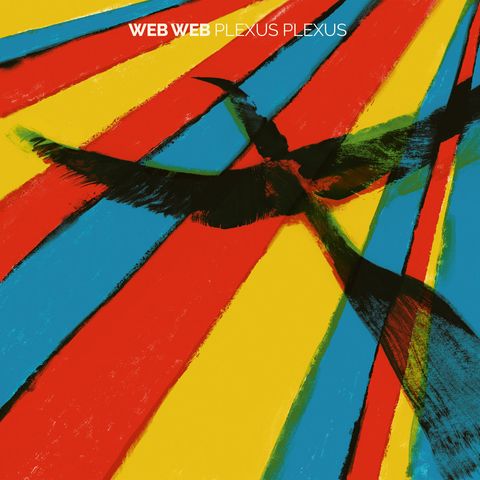 Web Web—Plexus Plexus 01