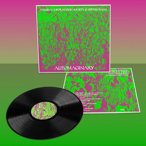 Natural Information Society and Bitchin Bajas—Automaginary 02