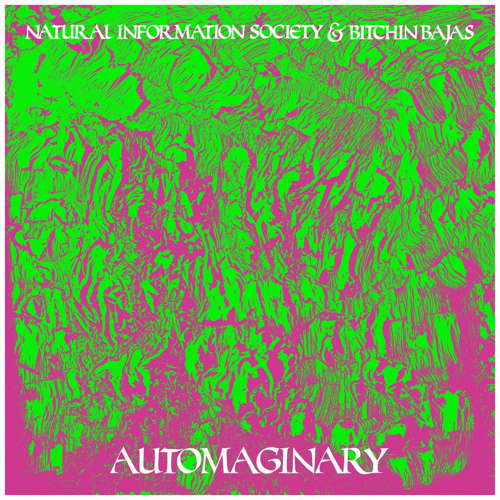 Natural Information Society and Bitchin Bajas—Automaginary 01