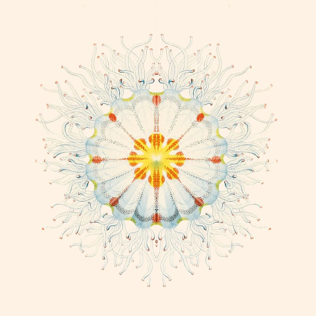 Charlie Charlie—Little Things 01