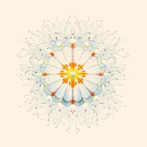 Charlie Charlie—Little Things 01