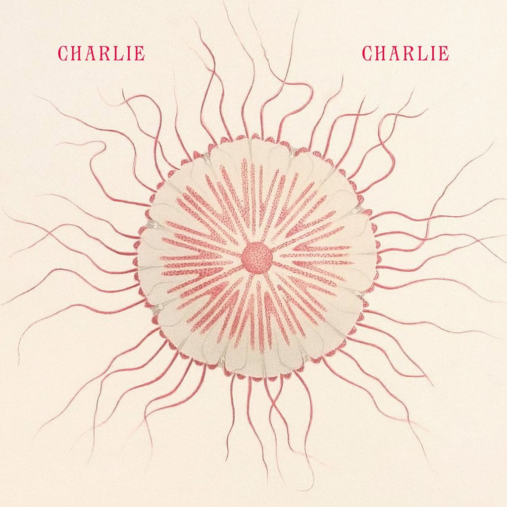 Charlie Charlie—Save Us: Charly 01