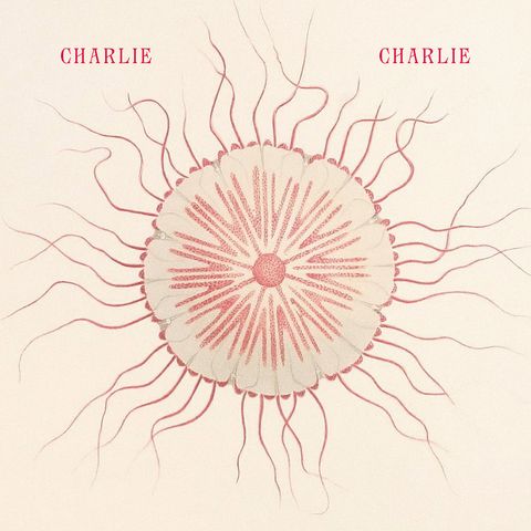Charlie Charlie—Save Us: Charly 01