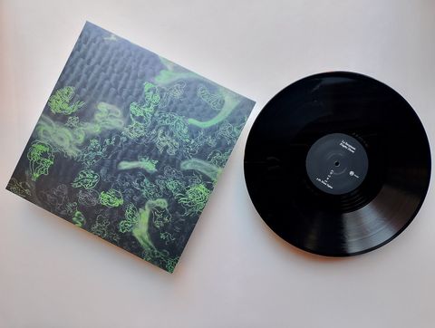 La Serpiente—Elaphe Dione 02