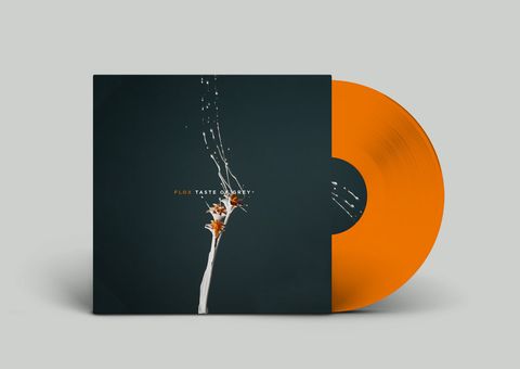 FLOX—Taste Of Grey 02